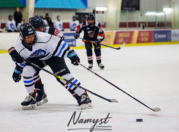 Minnesota Ice Cougars vs Jr. Queens 226