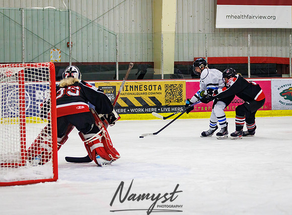 Minnesota Ice Cougars vs Jr. Queens 246