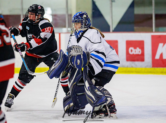 Minnesota Ice Cougars vs Jr. Queens 251