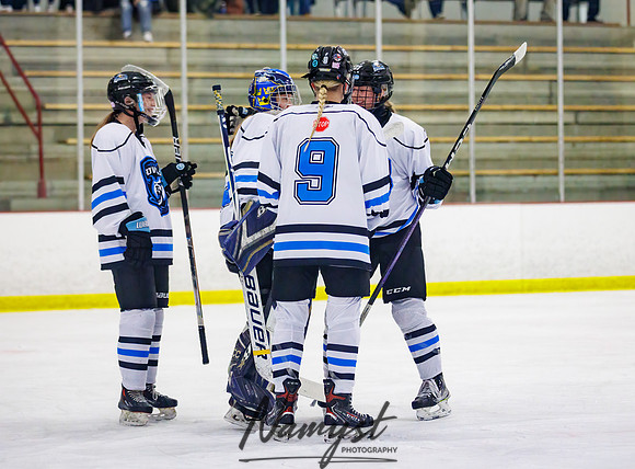 Minnesota Ice Cougars vs Jr. Queens 255