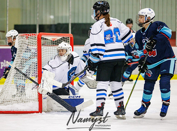 Minnesota Ice Cougars vs Badger City 101