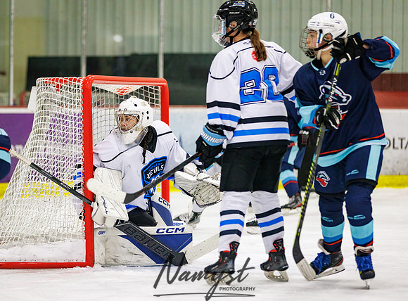 Minnesota Ice Cougars vs Badger City 102