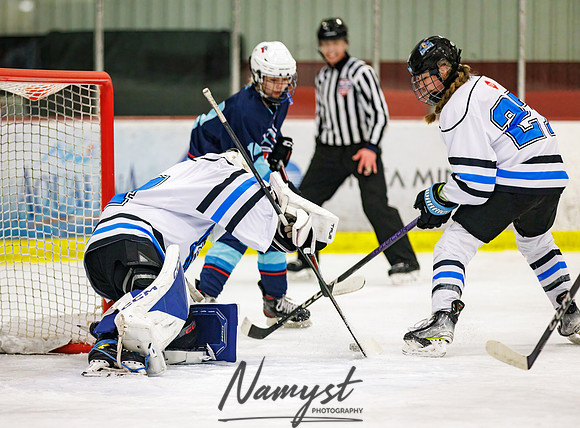 Minnesota Ice Cougars vs Badger City 107
