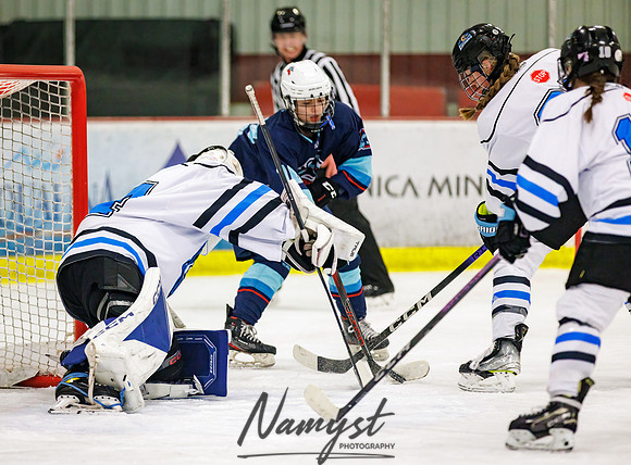 Minnesota Ice Cougars vs Badger City 108