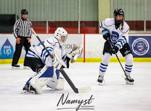Minnesota Ice Cougars vs Badger City 117