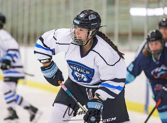 Minnesota Ice Cougars vs Badger City 12