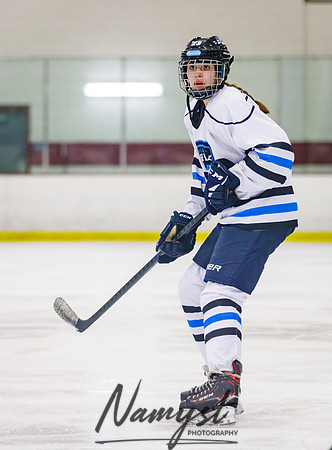 Minnesota Ice Cougars vs Badger City 18