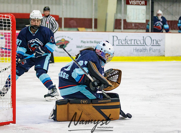 Minnesota Ice Cougars vs Badger City 19