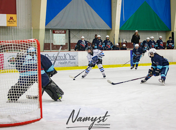 Minnesota Ice Cougars vs Badger City 193