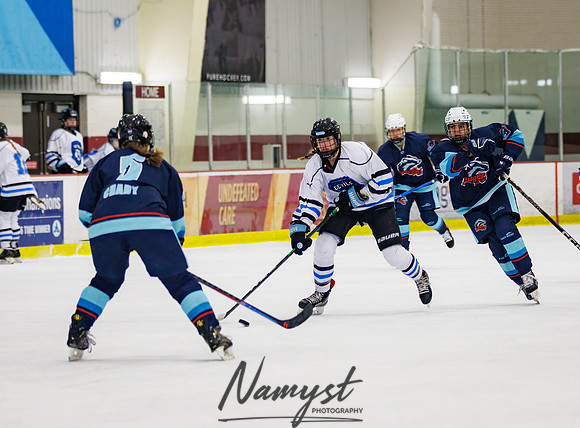 Minnesota Ice Cougars vs Badger City 199