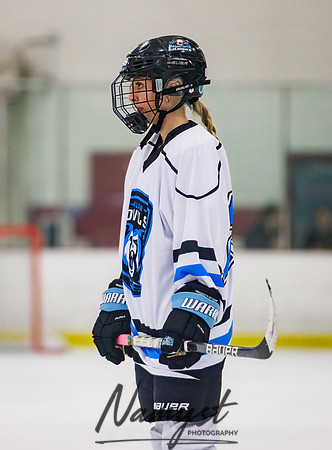 Minnesota Ice Cougars vs Badger City 20