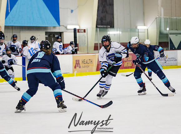 Minnesota Ice Cougars vs Badger City 200