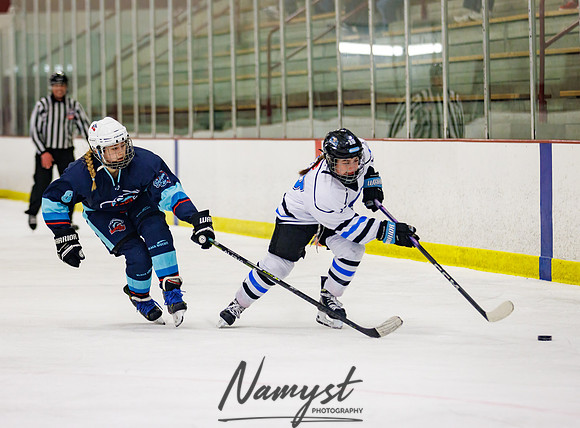 Minnesota Ice Cougars vs Badger City 204