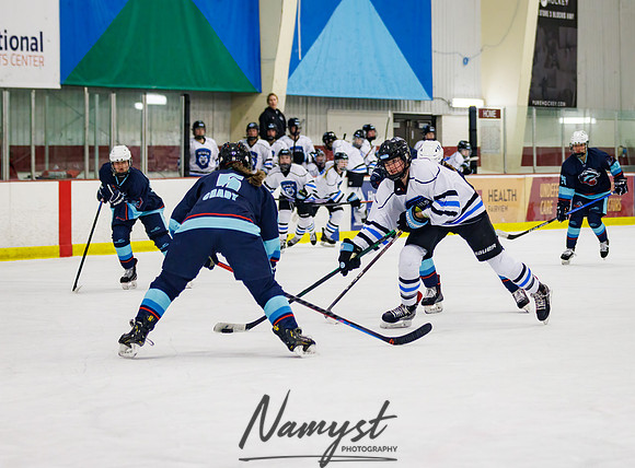 Minnesota Ice Cougars vs Badger City 201