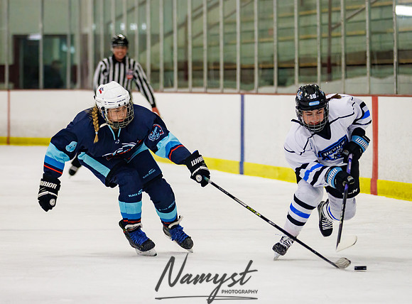 Minnesota Ice Cougars vs Badger City 203