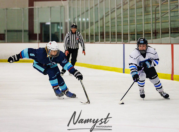 Minnesota Ice Cougars vs Badger City 202