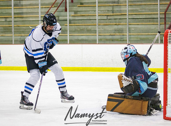 Minnesota Ice Cougars vs Badger City 209