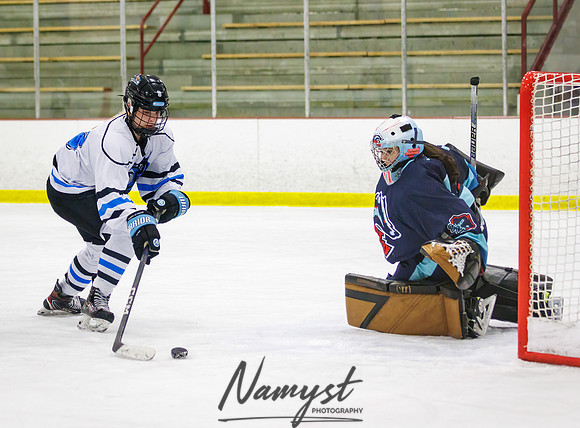 Minnesota Ice Cougars vs Badger City 210