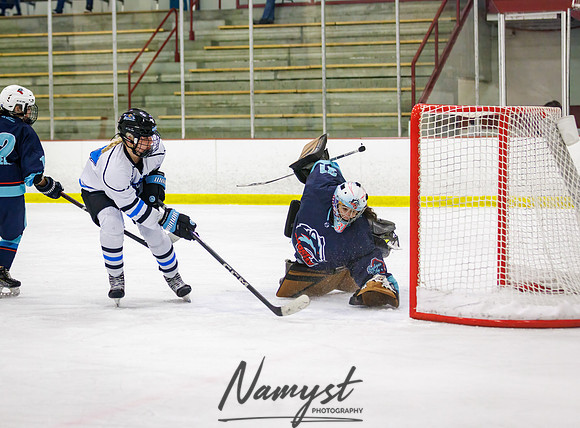 Minnesota Ice Cougars vs Badger City 212