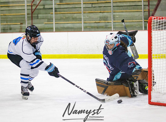 Minnesota Ice Cougars vs Badger City 211