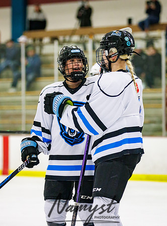 Minnesota Ice Cougars vs Badger City 213