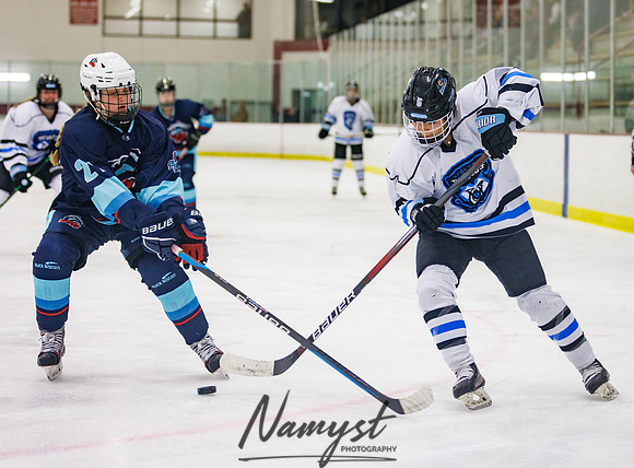 Minnesota Ice Cougars vs Badger City 35