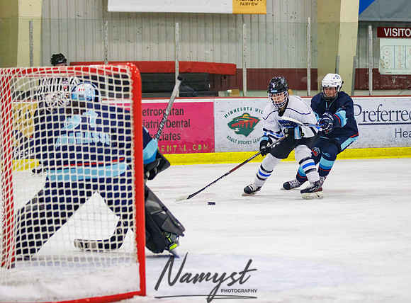 Minnesota Ice Cougars vs Badger City 51
