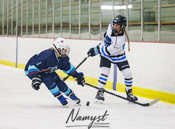 Minnesota Ice Cougars vs Badger City 58