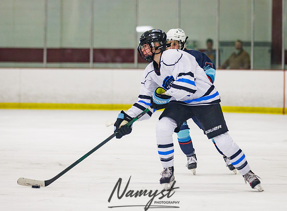 Minnesota Ice Cougars vs Badger City 66