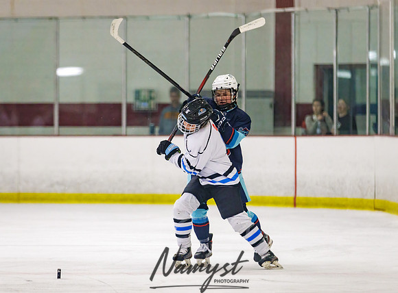 Minnesota Ice Cougars vs Badger City 65