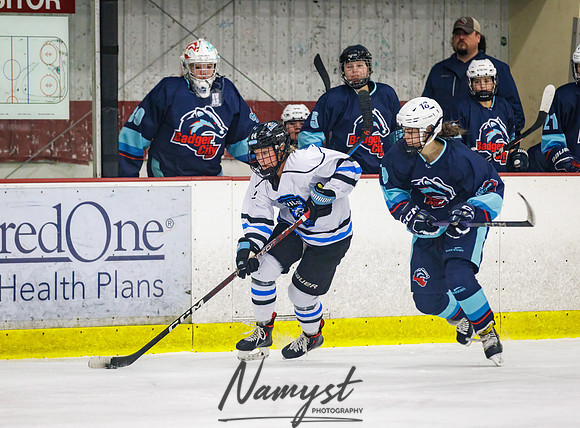 Minnesota Ice Cougars vs Badger City 69
