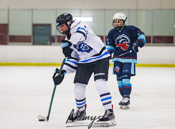 Minnesota Ice Cougars vs Badger City 68