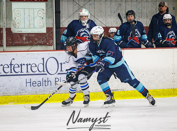 Minnesota Ice Cougars vs Badger City 70