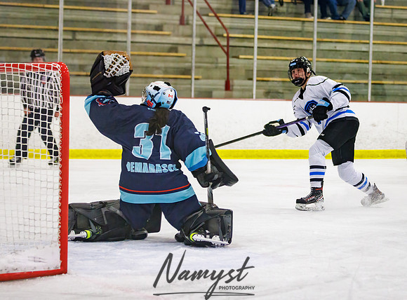 Minnesota Ice Cougars vs Badger City 79