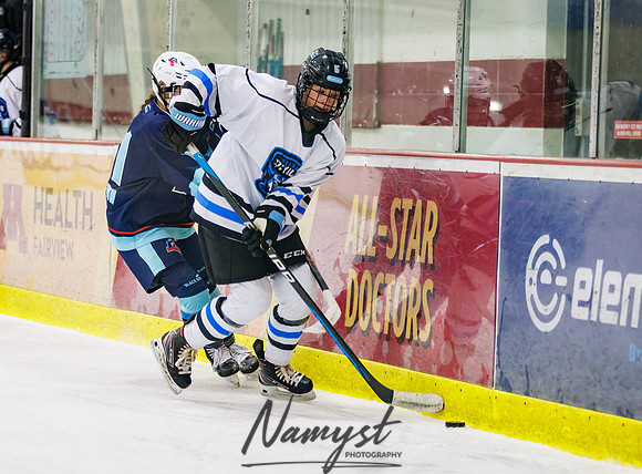 Minnesota Ice Cougars vs Badger City 80