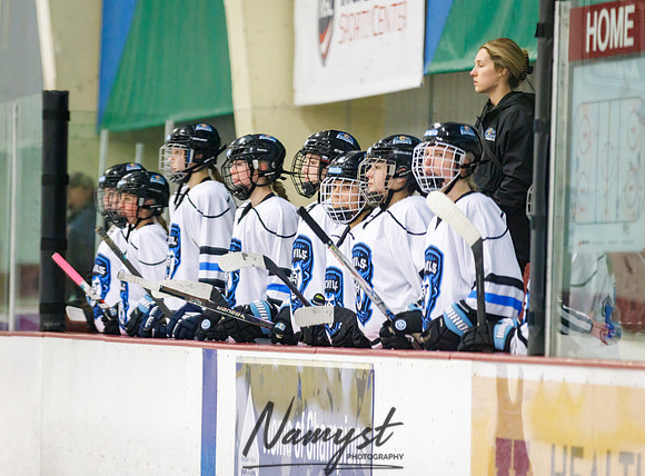Minnesota Ice Cougars vs Badger City 82