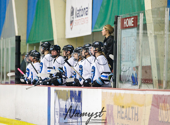 Minnesota Ice Cougars vs Badger City 83