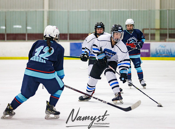Minnesota Ice Cougars vs Badger City 86