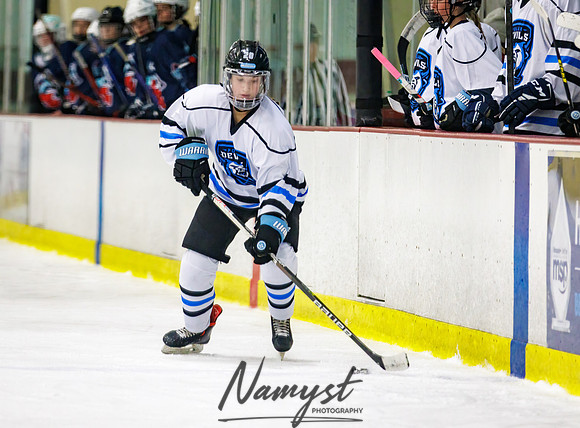 Minnesota Ice Cougars vs Badger City 85