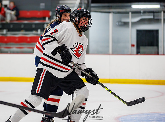 Centennial vs NWC JV Hockey 95