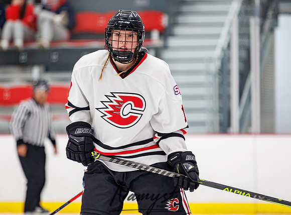 Centennial vs NWC JV Hockey 94