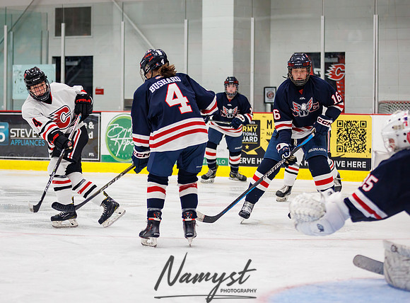 Centennial vs NWC JV Hockey 151