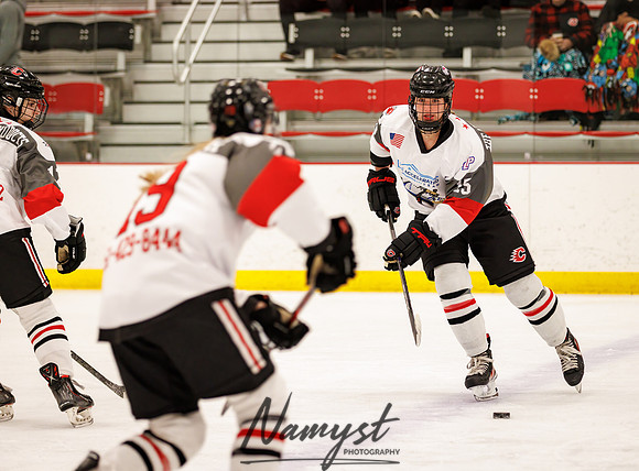 Centennial vs NWC Varsity Hockey 2