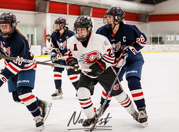 Centennial vs NWC Varsity Hockey 88