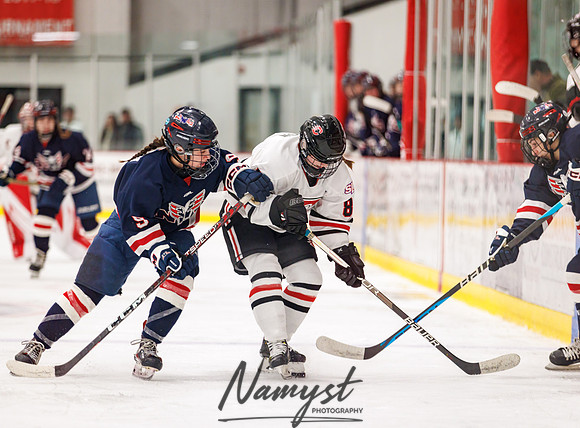 Centennial vs NWC Varsity Hockey 132