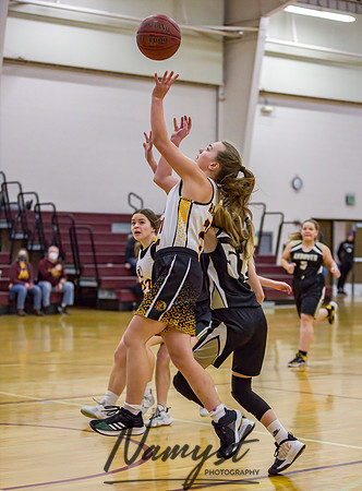 Forest Lake Girls 7 Maroon Basketball 009