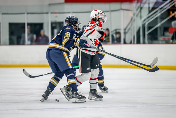 Centennial vs Hermantown Varsity Hockey 76