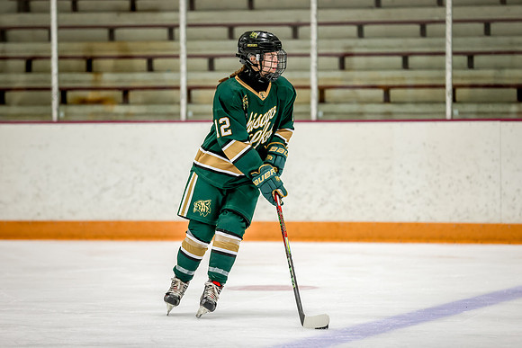 Chisago vs Forest Lake Varsity Hockey 10