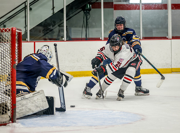 Centennial vs Rosemount JV Hockey 101