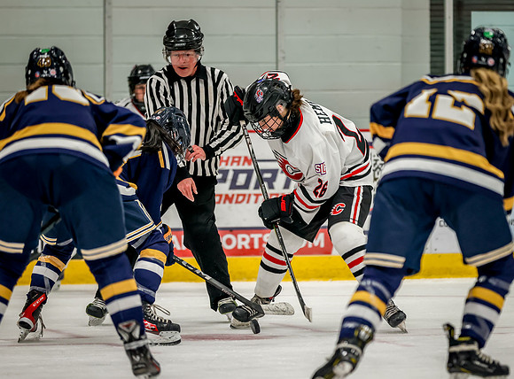 Centennial vs Rosemount JV Hockey 53